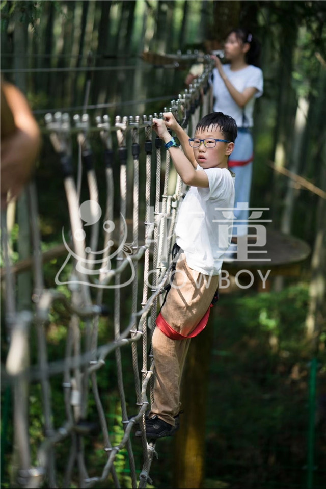 叢林拓展設(shè)備